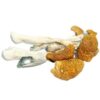 Martinique Mushrooms - Germany, Australia, UK, USA & Canada