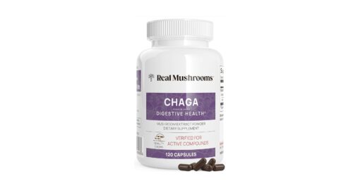 Chaga Extract Mushroom Capsules