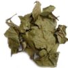 Chacruna Psychotria viridis for sale