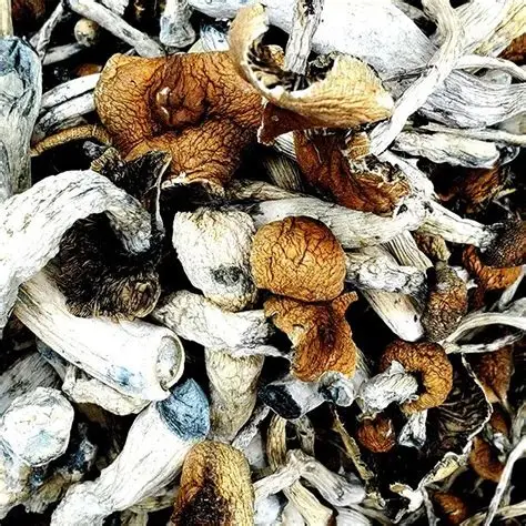 Buy Psychedelics Online Buy Psychedelics Online