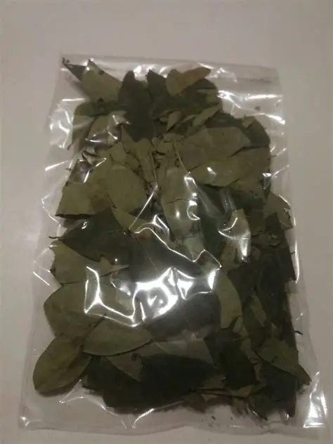 Coca Leaves 2,000gr (2kg) Coca Leaves 2,000gr (2kg)