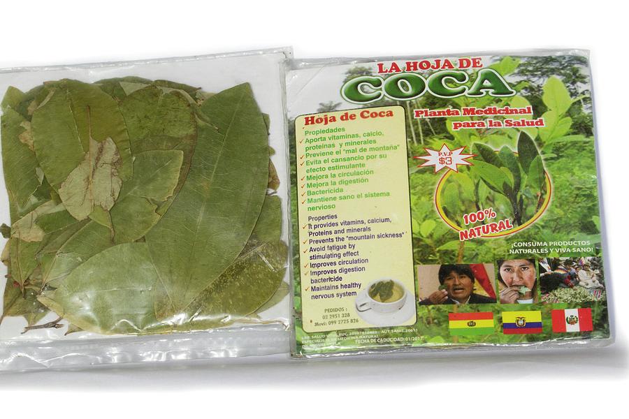Coca Leaves 200 grams Coca Leaves 200 grams